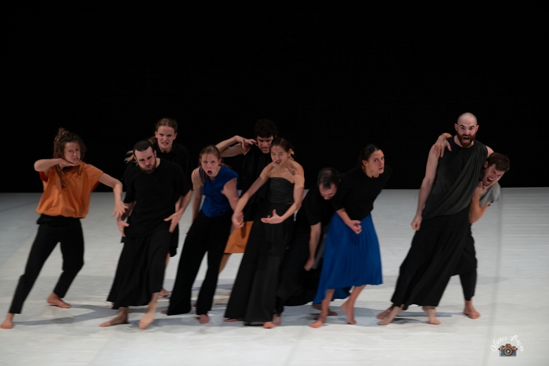 Tendre colére E2-95 